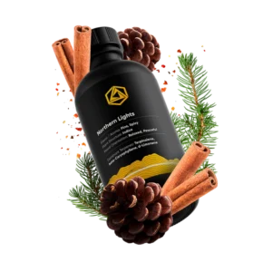 Northern Lights | Abstrax Tech