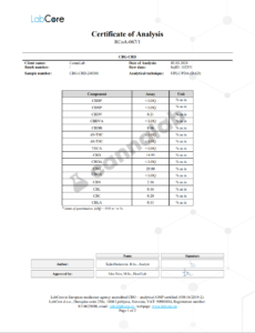 Screenshot 2026-02-07 221903