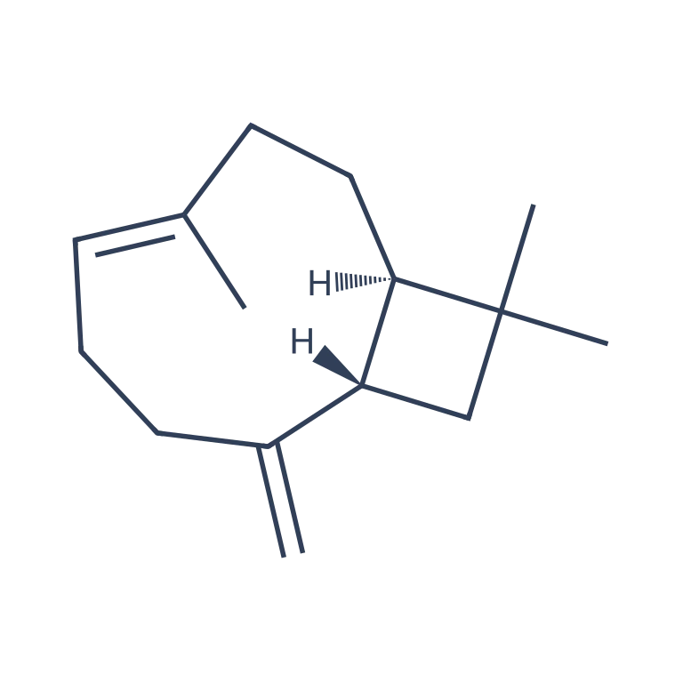 β Caryophyllene C15H24 Elementra