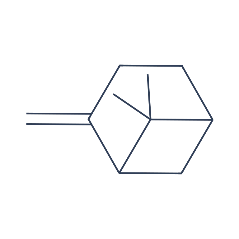 β Pinene C10H16 Elementra